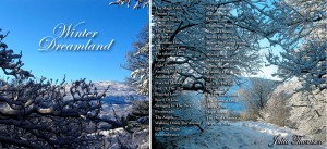 winter_dreamland